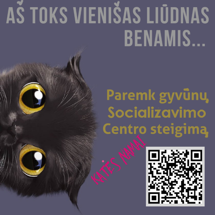 Mano diena – trumpas pasakojimas