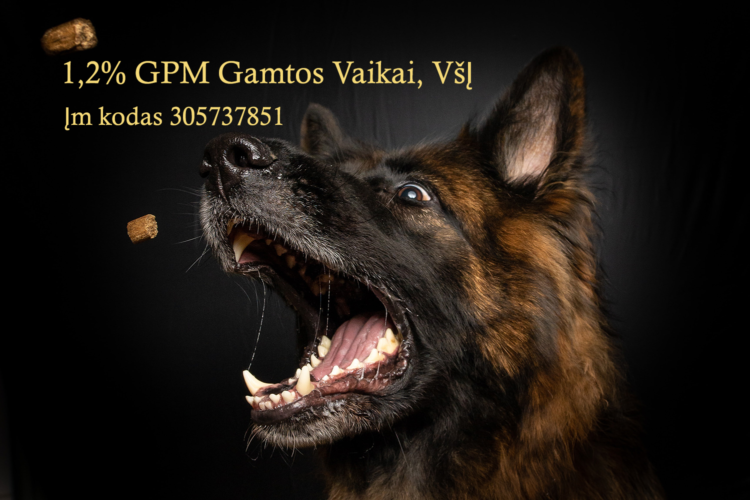 Skirkite 1, 2 % GPM paramą mums